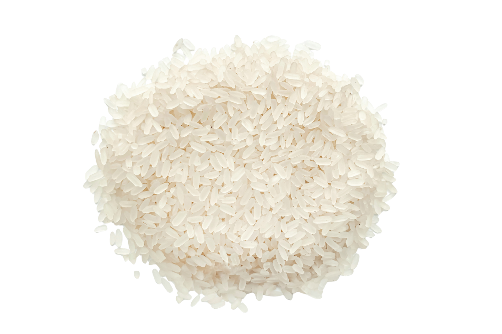 Products untitled design (1)